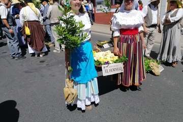 Romería ofrenda a la Virgen del Pino (Foto TA y Antonio Alí)